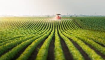 Agricultural Robotics Webinar: Scaling for Efficiency, Cost Savings, and Sustainability. Navigate Innovations Shaping the Future.
