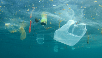 Plastic vervuiling