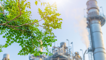 green tree branch with background of industrial factory