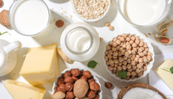 plant based alternative dairy products