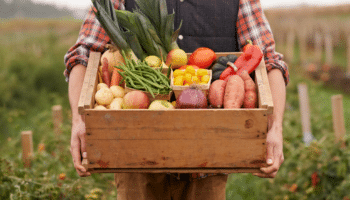 farmer carrying a crate of fresh vegetables