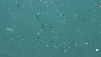 floating microplastics in the ocean