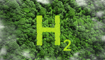 H2 symbol on green forest canopy