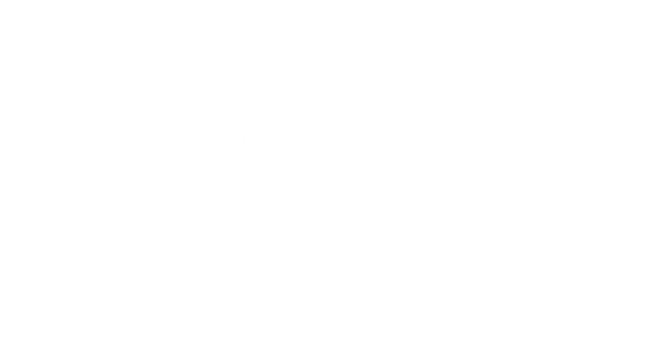 logo-mccain