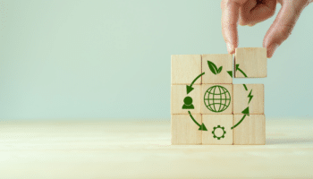 Wooden cubes as concept for circular economy