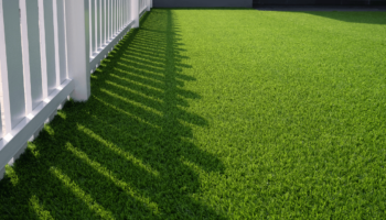 white wooden fence on green lawn