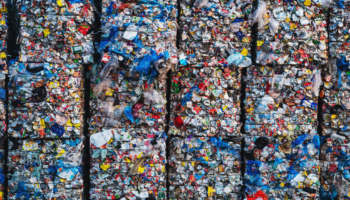 Voice of Industry: Value Chain Dynamics in Advanced Plastic Recycling