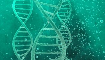 3andMe-Scooped-Up-for-256M