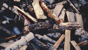 Charred wood chips