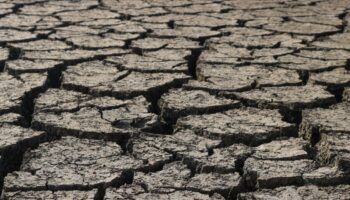 Dry, cracked earth