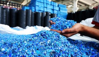 Person holding a handful of plastic chips