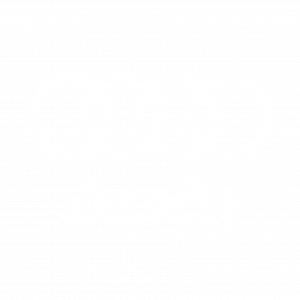 1686497099audi-logo-white-png