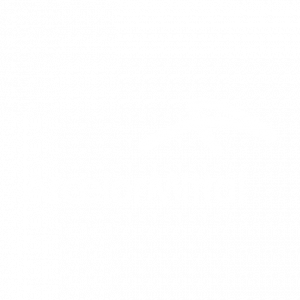 Arcelor_Mittal-blanc