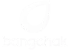 Bangchak