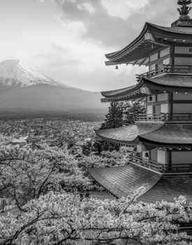 Lux Forum Tokyo - thumbnail