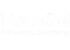 MonoSol