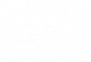 logo-mccain